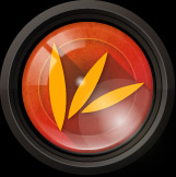 arkadej logo 2014